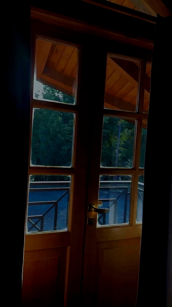 _aldibernardo archive video preview