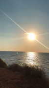 anya_shtril Altpins Profile Picture