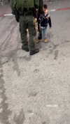 orman.mariee Altpins Profile Picture