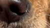 gissell_eli Altpins Profile Picture