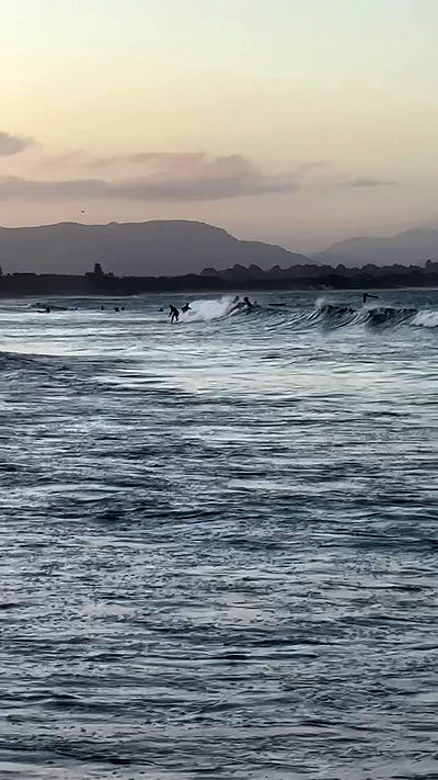 taylor.creeden taylor.creeden archive video