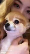 allissashin Altpins Profile Picture