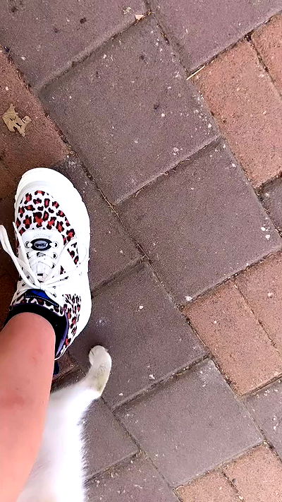 ormosheee ormosheee archive video