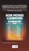 cannonstheband Altpins Profile Picture