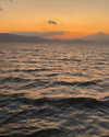 michal_cohen017 Altpins Profile Picture