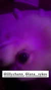 arabelladourado Altpins Profile Picture
