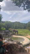_mashachka_ Altpins Profile Picture