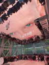 alexconsani Altpins Profile Picture