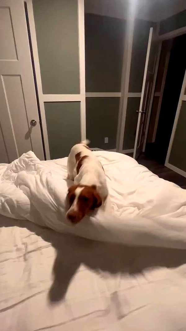 kaylasimmmons archive video preview