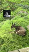 jessie.ra3 Altpins Profile Picture