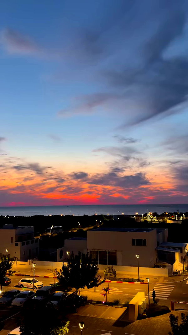 noammalka___ archive video preview