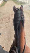 cristeldiiulio Altpins Profile Picture