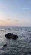 mishel_d_ Altpins Profile Picture