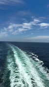 solzarubin_ Altpins Profile Picture