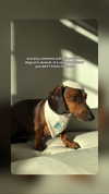 emily_new2 Altpins Profile Picture