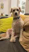 feelbetterinmysweater Altpins Profile Picture