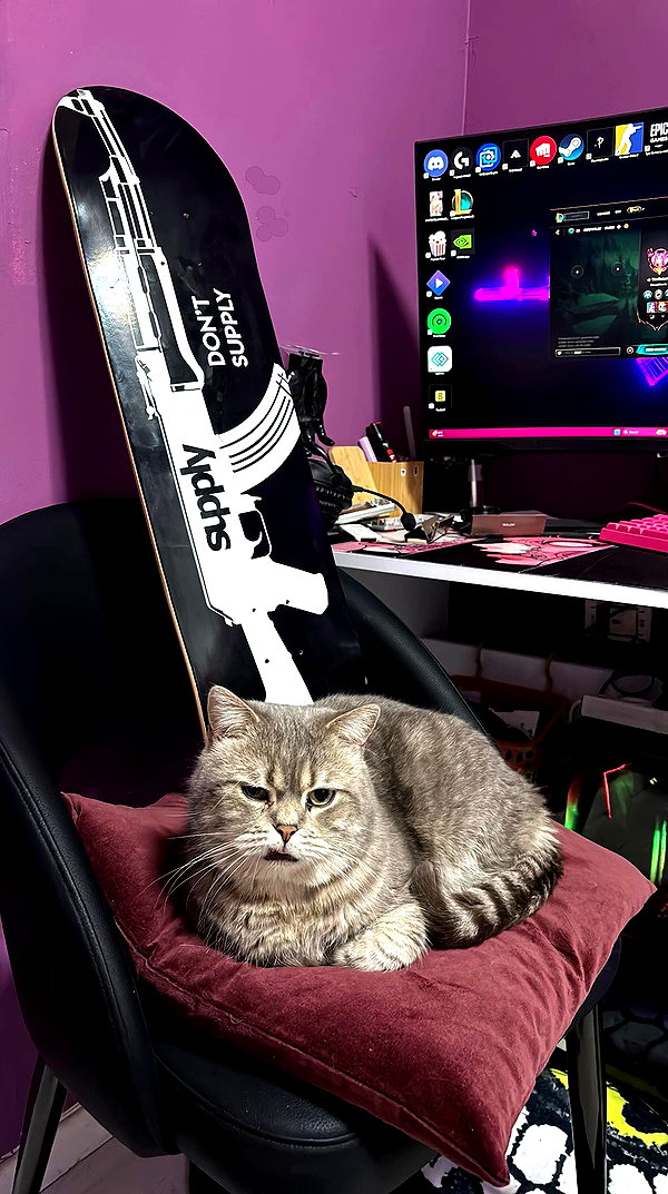 natalllluli archive video preview