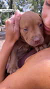 olivia.mathers Altpins Profile Picture