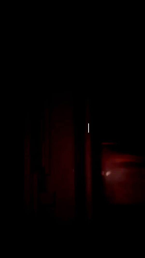 elianachetrit archive video preview