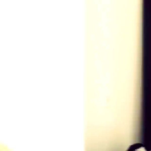 lilbieber archive video preview