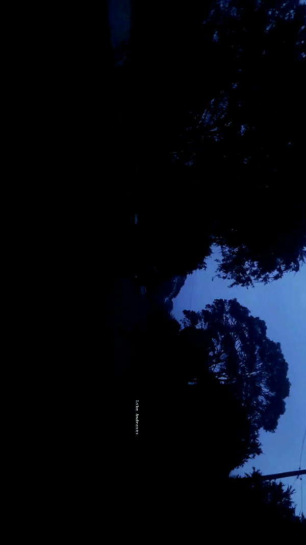 ayliehayward archive video preview