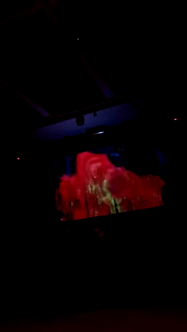 shayli_or archive video preview