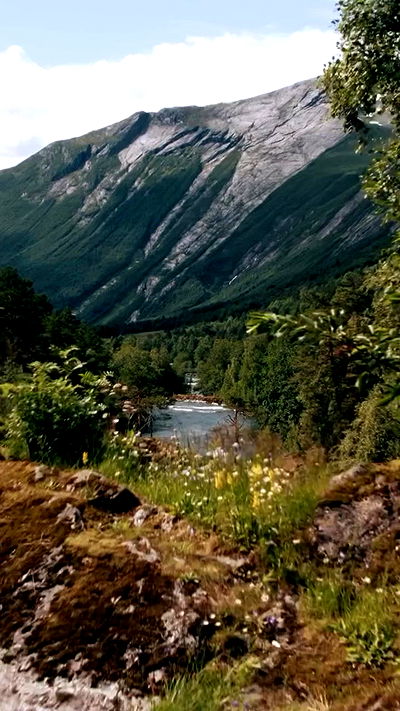 taylor.creeden taylor.creeden archive video