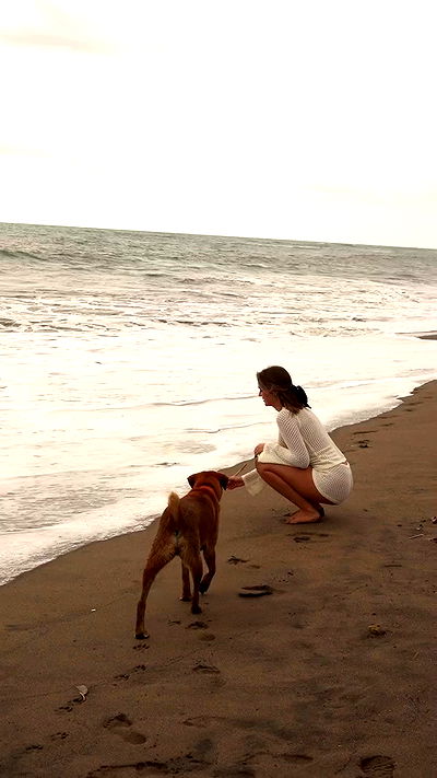 taylor.creeden taylor.creeden archive video