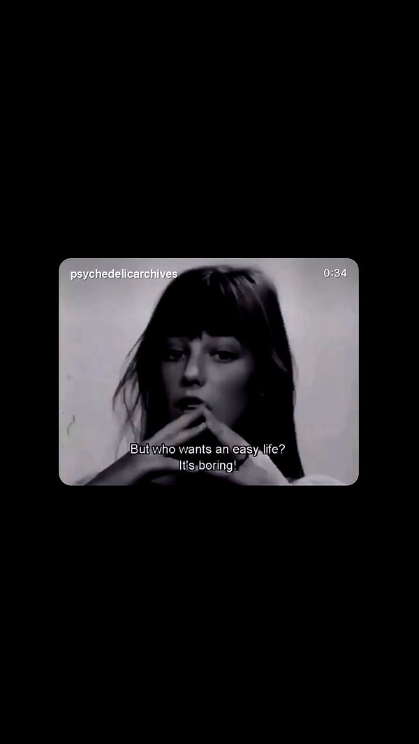 moonliliaght archive video preview