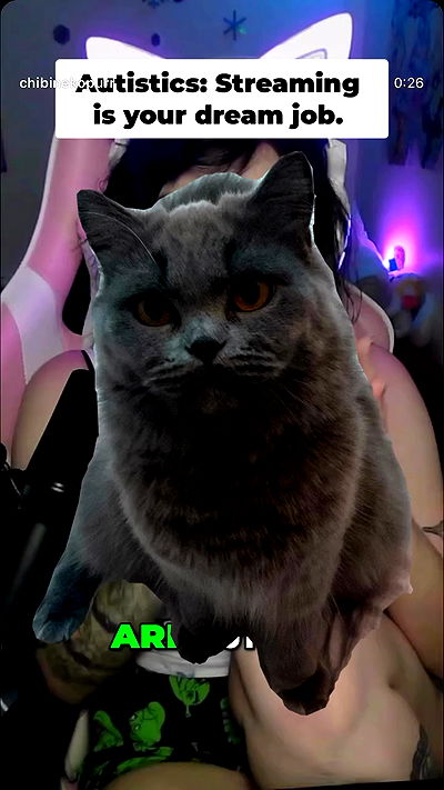 chibinekopurr chibinekopurr archive video