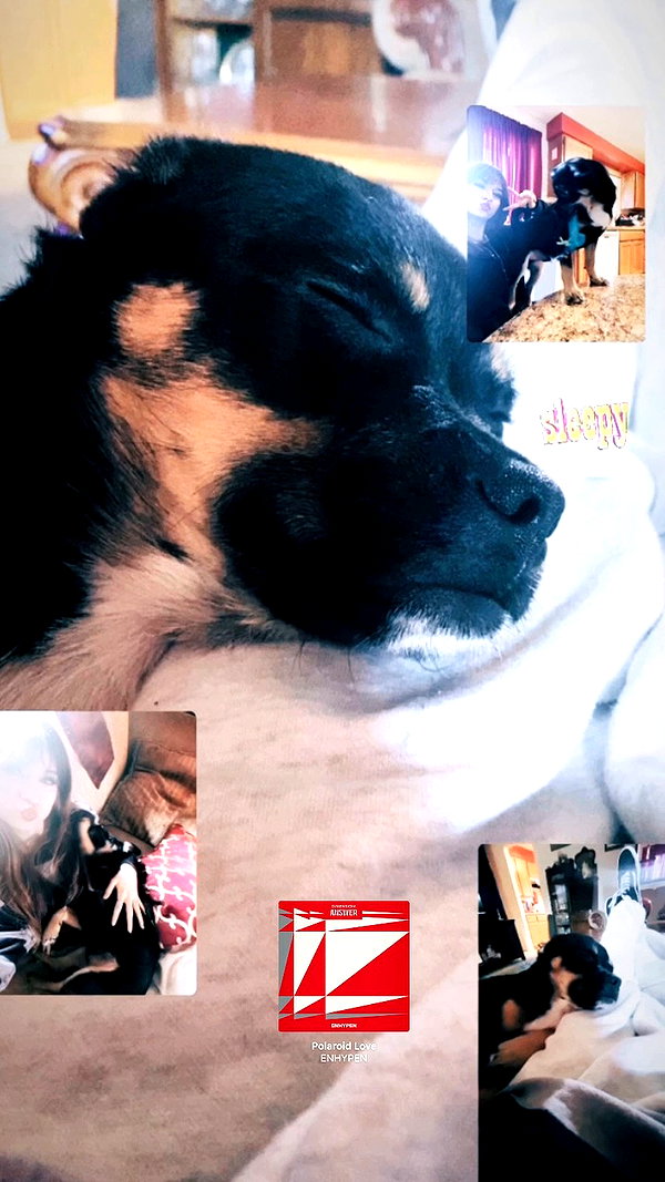 reanidays.cos archive video preview