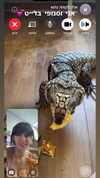 da.rk_.angel Altpins Profile Picture