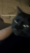 feelbetterinmysweater Altpins Profile Picture