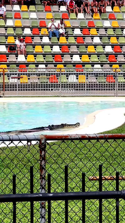 taylor.creeden taylor.creeden archive video