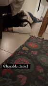 dante_yangpa Altpins Profile Picture