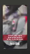 alma.almog Altpins Profile Picture