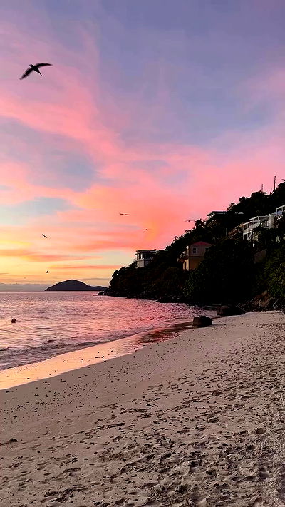 taylor.creeden taylor.creeden archive video