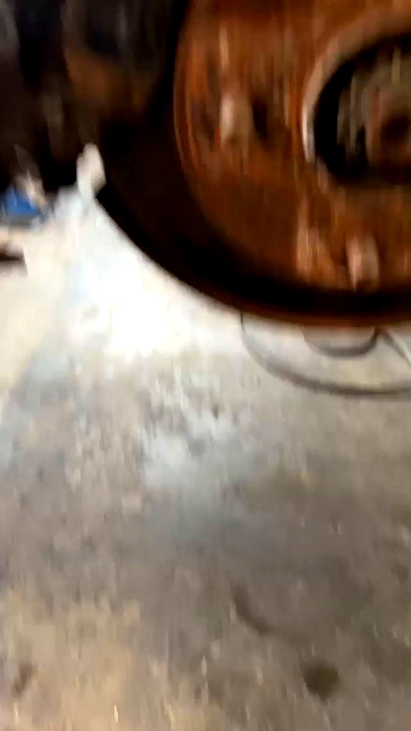 eitan.420 archive video preview