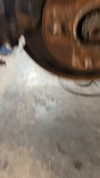 eitan.420 Altpins Profile Picture