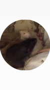 bobinskkii Altpins Profile Picture