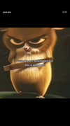 dina_shrago Altpins Profile Picture