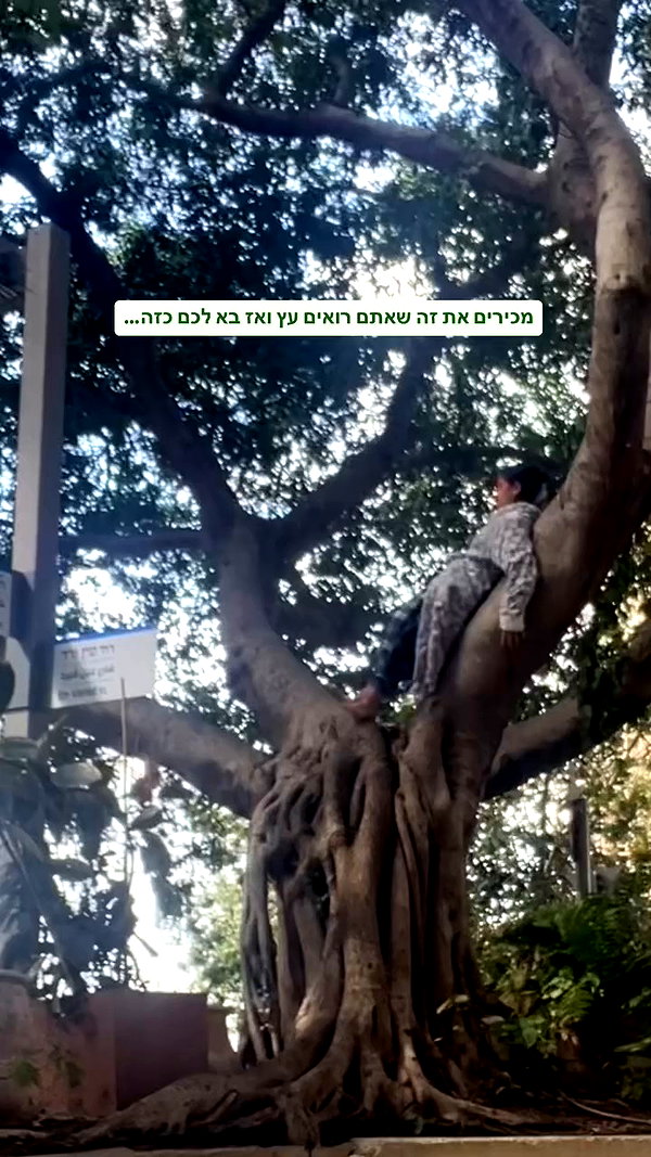yuval_raz archive video preview