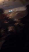 avitallllllllllllllll Altpins Profile Picture