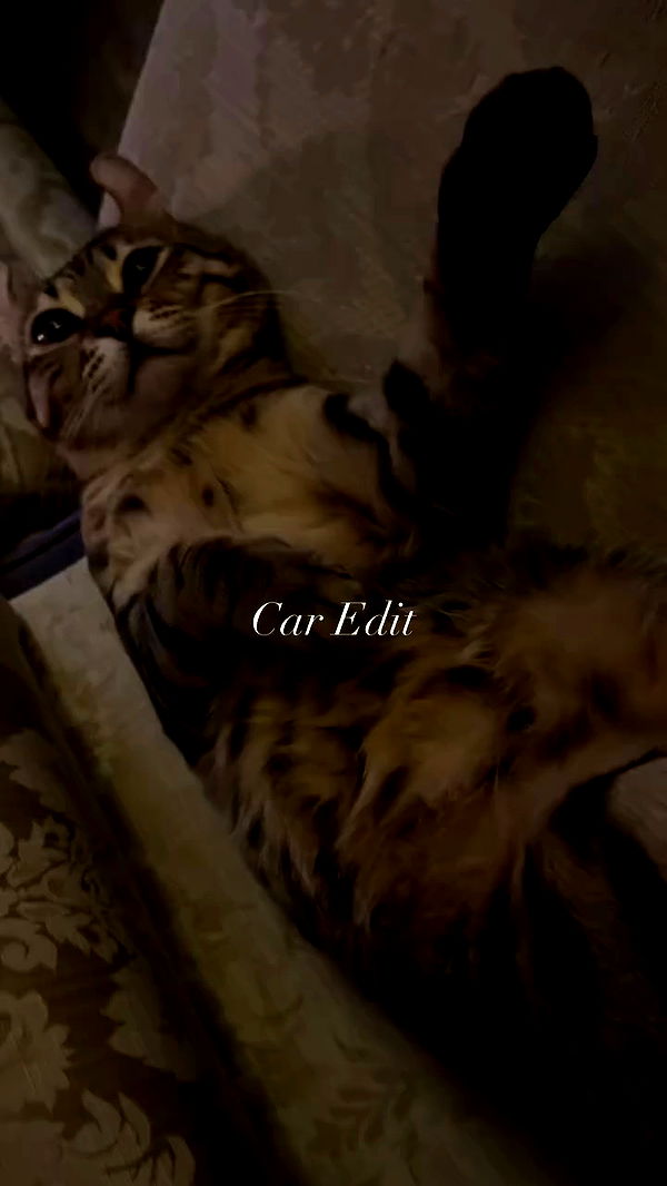 laurinchhhe archive video preview