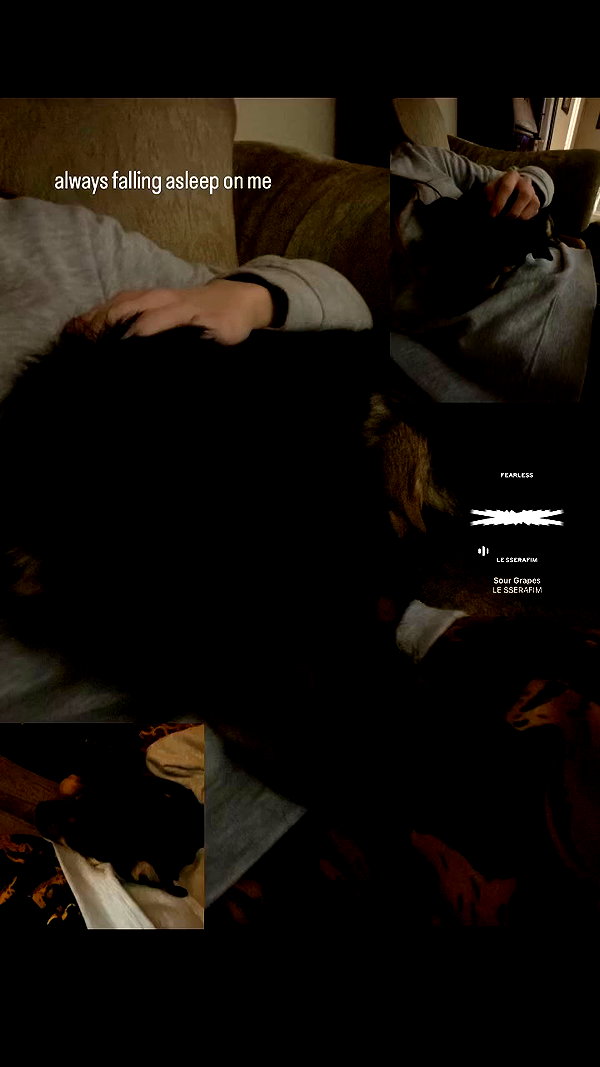 reanidays.cos archive video preview