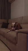 _mashachka_ Altpins Profile Picture
