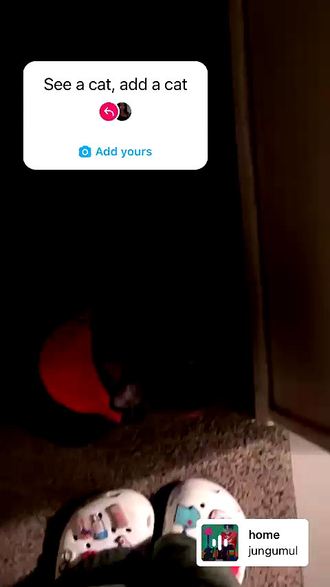 elliemvvnn archive video preview