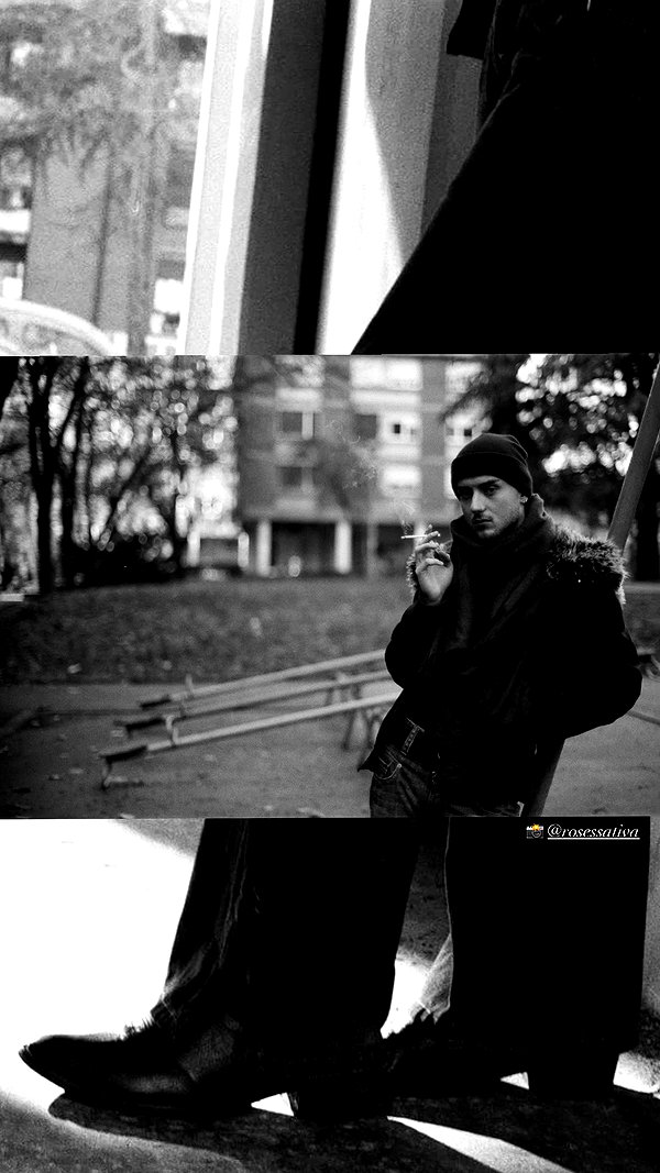 rosessativa archive video preview