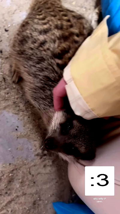 vwnrottie vwnrottie archive video