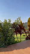 maori_cohen Altpins Profile Picture